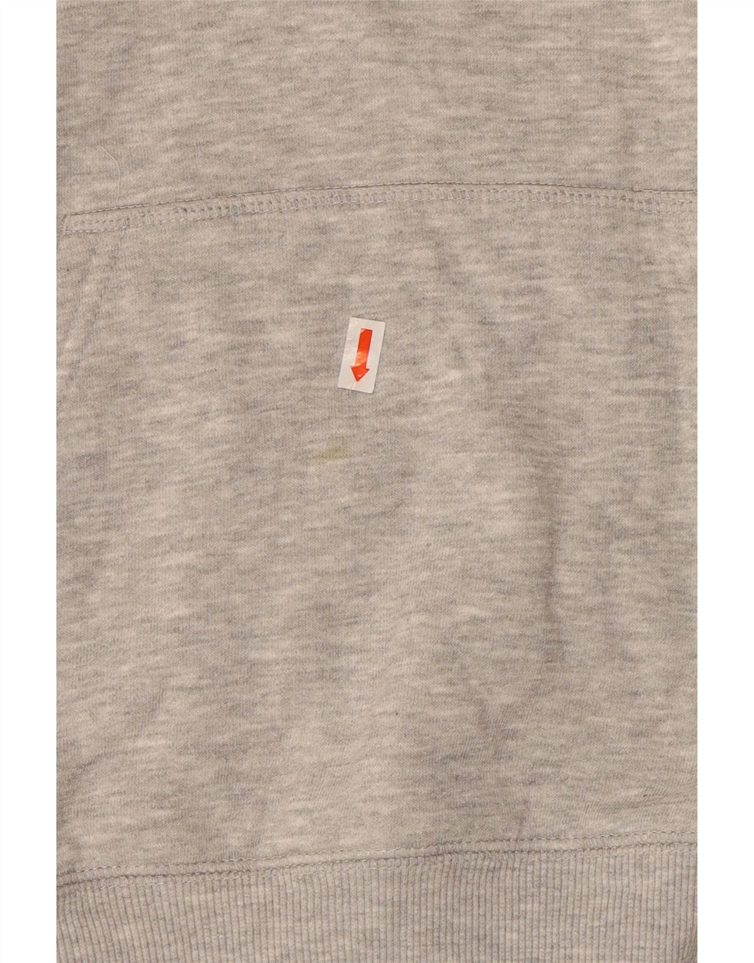 CHAMPION Womens Graphic Hoodie Jumper UK 14 Large Grey Cotton Vintage Champion and Second-Hand Champion from Messina Hembry 