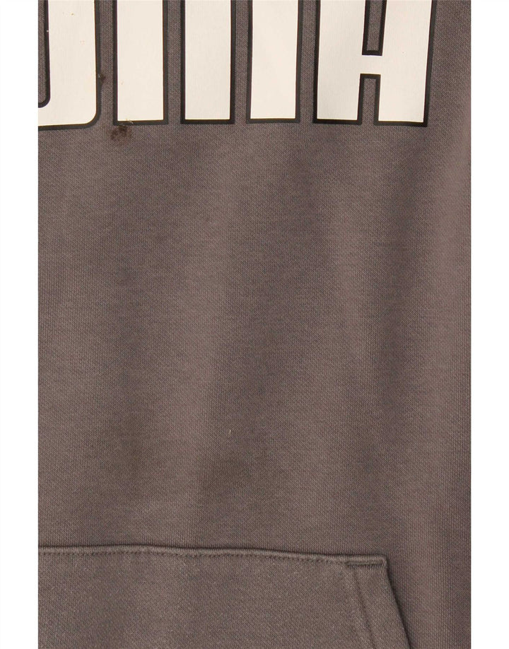 Puma Mens Graphic Hoodie Jumper Médio Algodão Cinza