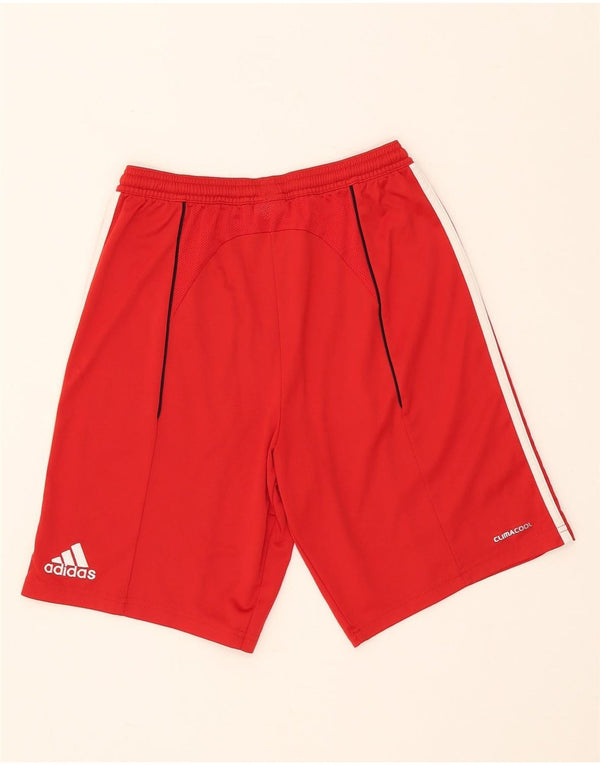 Adidas Meninos FC Bayern Munchen Sport Shorts 13-14 Anos Poliéster Vermelho