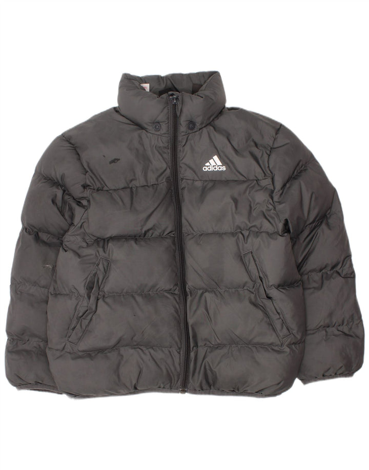 Casaco ADIDAS Menino Acolchoado 6-7 Anos Cinzento Poliéster