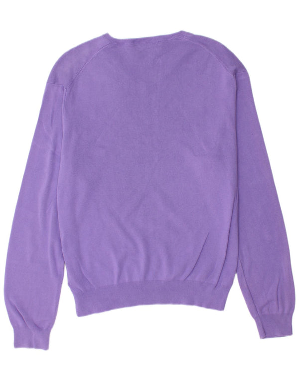 Polo Ralph Lauren Suéter masculino com decote em V grande algodão roxo