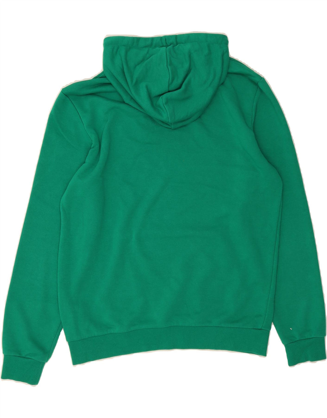 PUMA Mens Hoodie Jumper Medium Green Cotton Vintage Puma and Second-Hand Puma from Messina Hembry 
