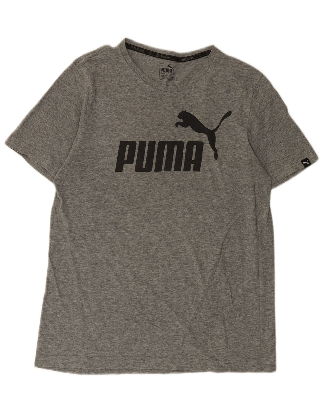 Puma Camiseta Masculina Graphic Top Cinza Médio