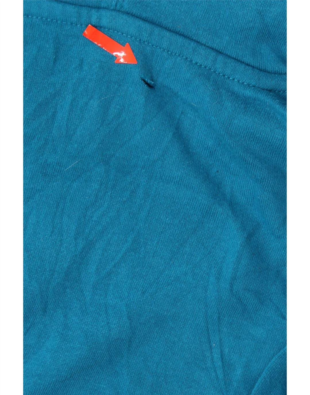 CHAMPION Womens Graphic Hoodie Jumper UK 18 XL Blue Cotton Vintage Champion and Second-Hand Champion from Messina Hembry 