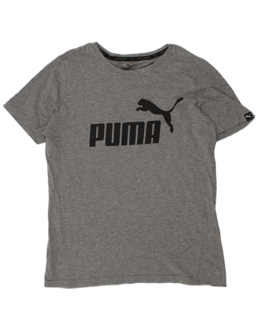 Top Puma Menino Graphic T-Shirt 11-12 Anos Cinzento