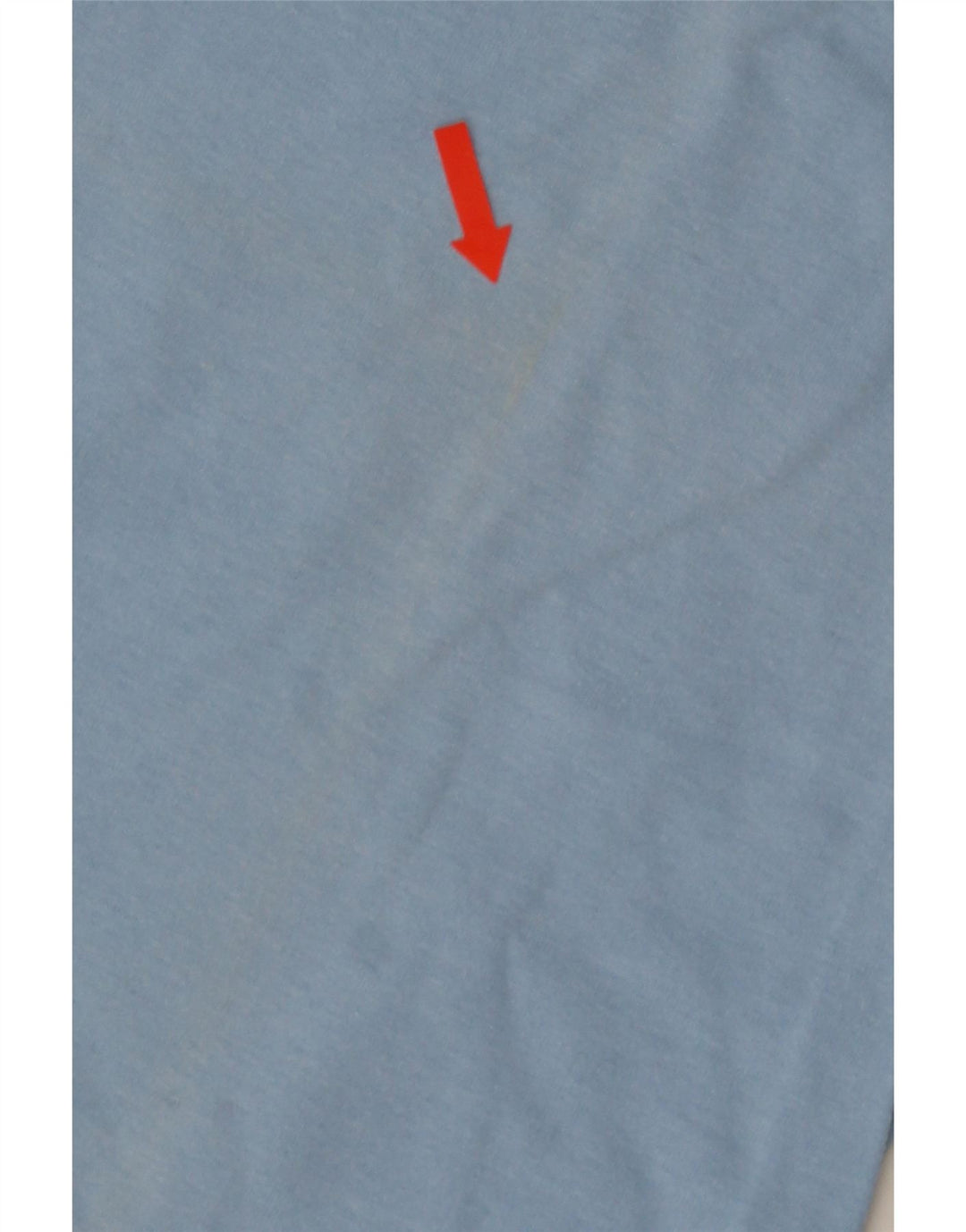 Camiseta masculina estampada Champion grande azul