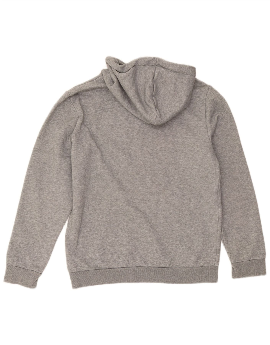 Puma masculino gráfico moletom com capuz pequeno algodão cinza