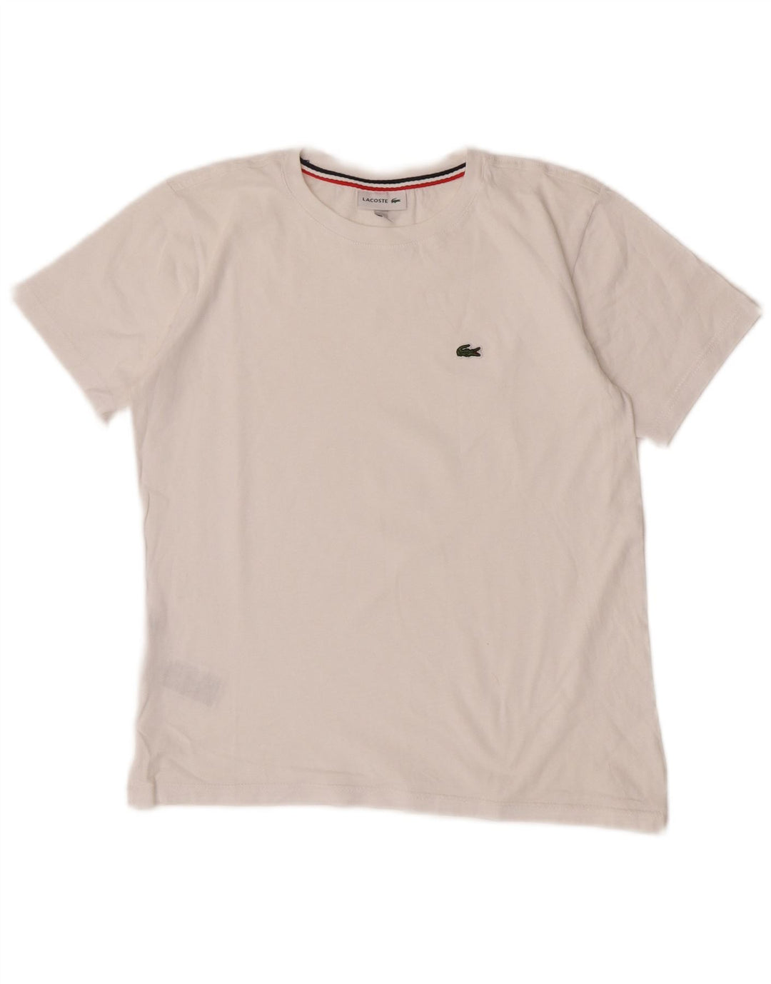Camiseta Lacoste Menino 11-12 Anos Algodão Branco