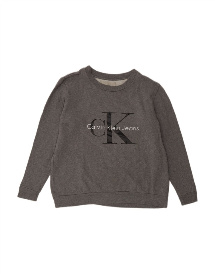 CALVIN KLEIN JEANS Suéter gráfico masculino pequeno cinza