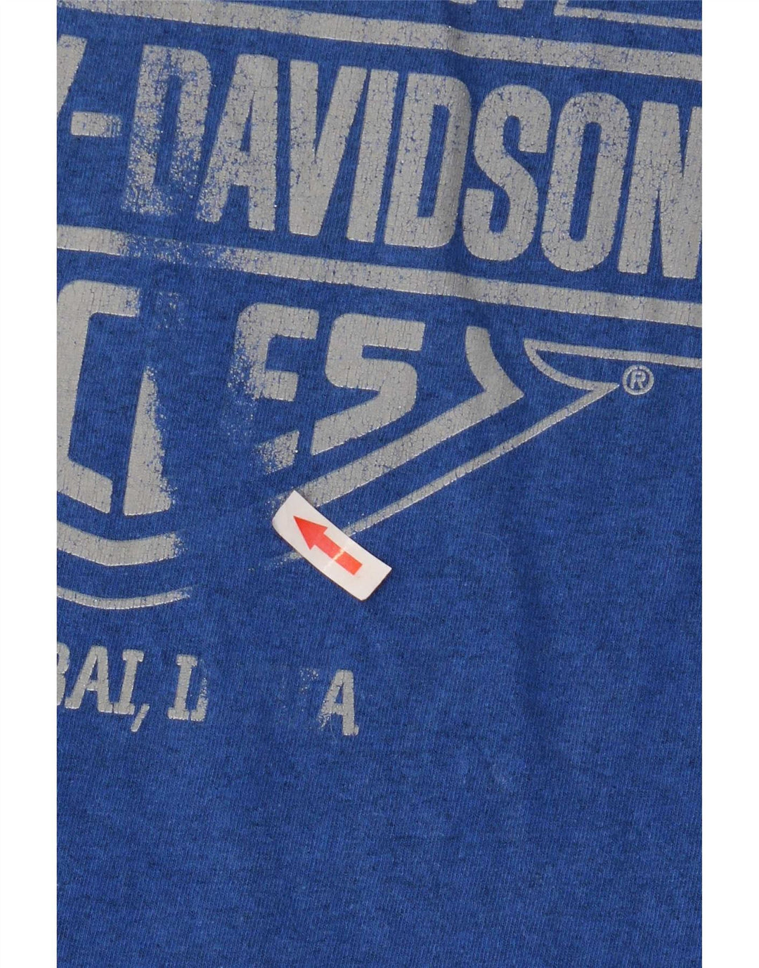 Camiseta gráfica masculina Harley Davidson Top pequena motocicleta azul