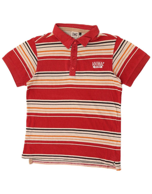 Camisa polo masculina animal algodão listrado vermelho médio