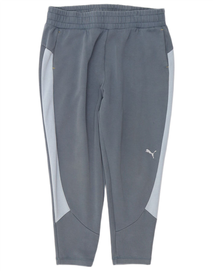PUMA Mens Tracksuit Trousers XL Blue Cotton