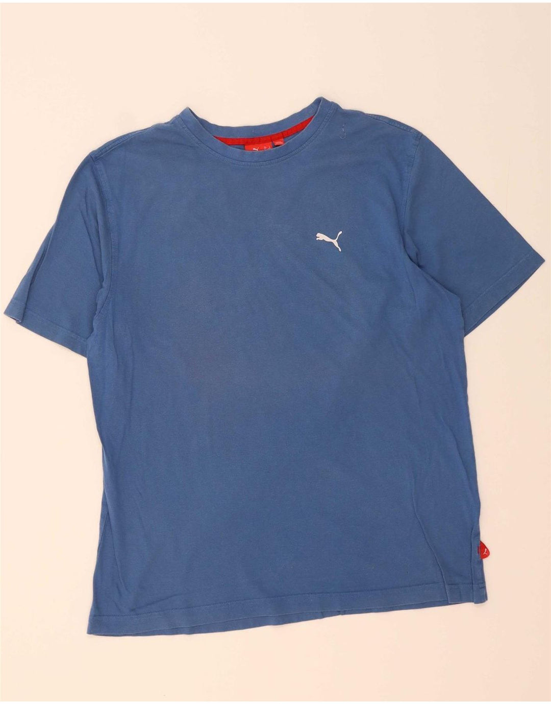 Camiseta masculina PUMA grande azul