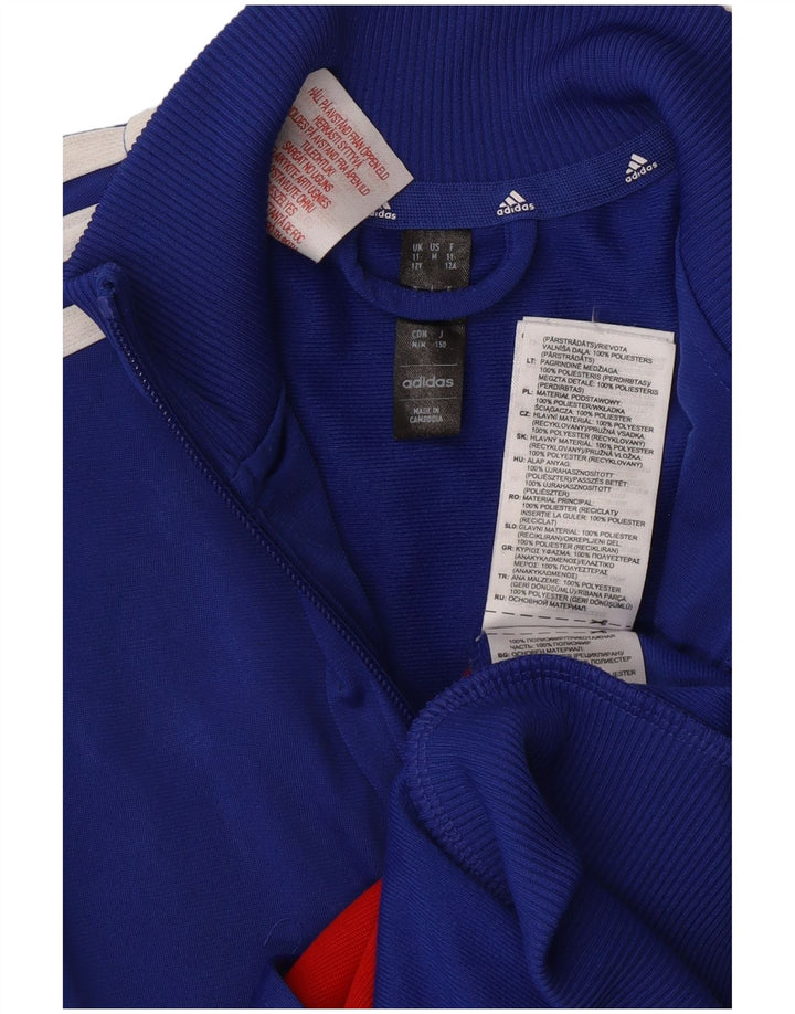 Jaqueta Adidas Meninos Treino Top 11-12 Anos Azul Colorblock Poliéster