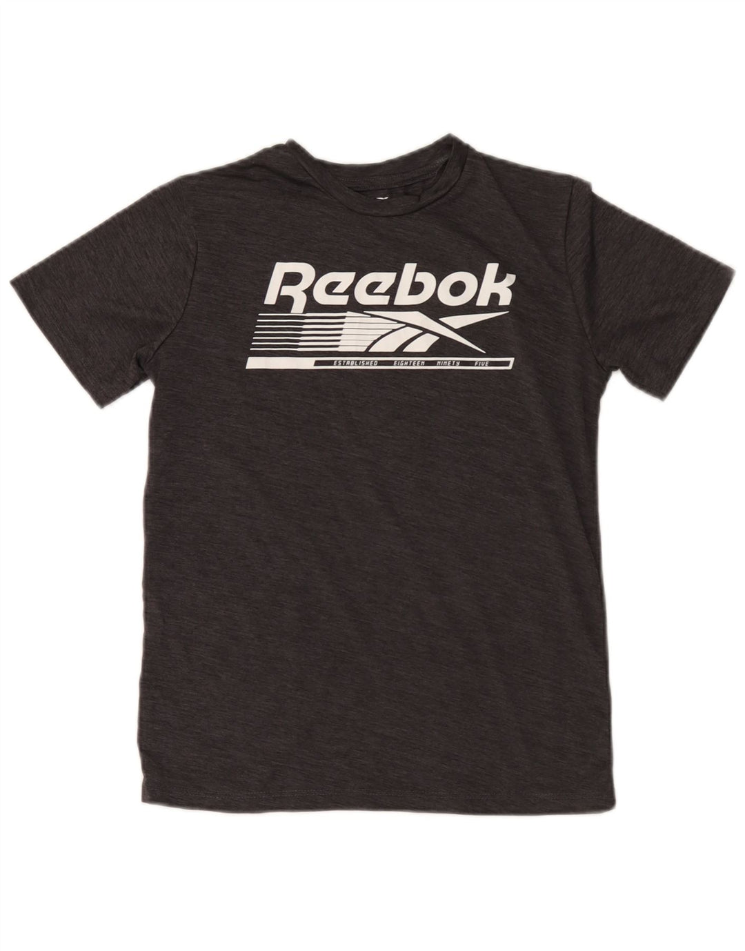 Camiseta Reebok Boys Graphic Top 10-11 Anos Cinza Médio Poliéster