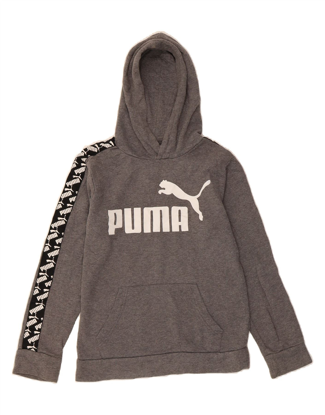 PUMA Boys Graphic Hoodie Jumper 14-15 Years Grey Cotton Vintage Puma and Second-Hand Puma from Messina Hembry 