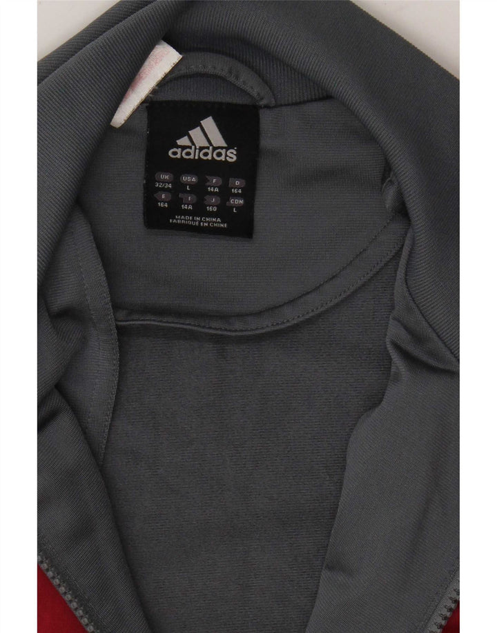 Jaqueta Adidas Meninos Treino Top 13-14 Anos Cinza Colorblock Poliéster