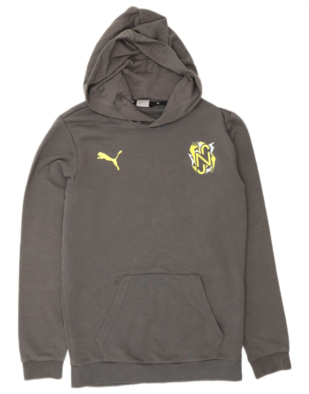 Jumper com capuz gráfico PUMA Boys 13-14 anos algodão cinza