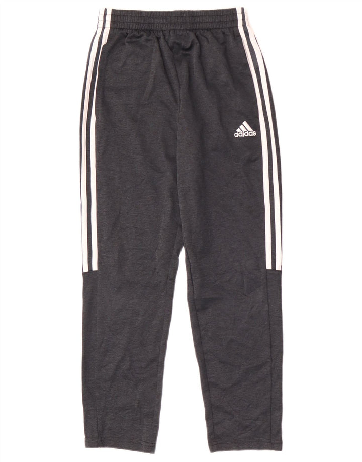 Calças de treino Adidas meninos 10-11 anos cinza médio poliéster