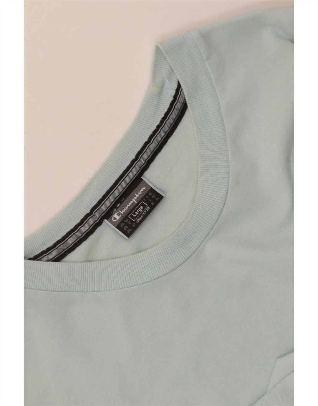 Camiseta masculina estampada Champion grande azul