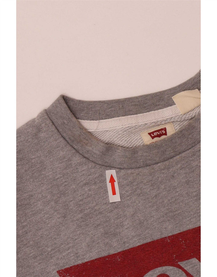 Levi's moletom gráfico masculino jumper pequeno algodão cinza