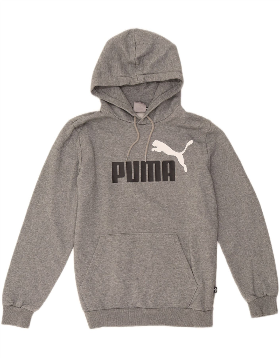 Puma masculino gráfico moletom com capuz pequeno algodão cinza