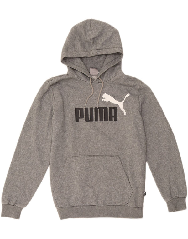 Puma masculino gráfico moletom com capuz pequeno algodão cinza
