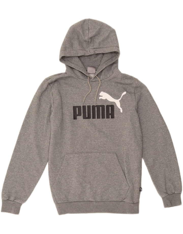 Puma masculino gráfico moletom com capuz pequeno algodão cinza