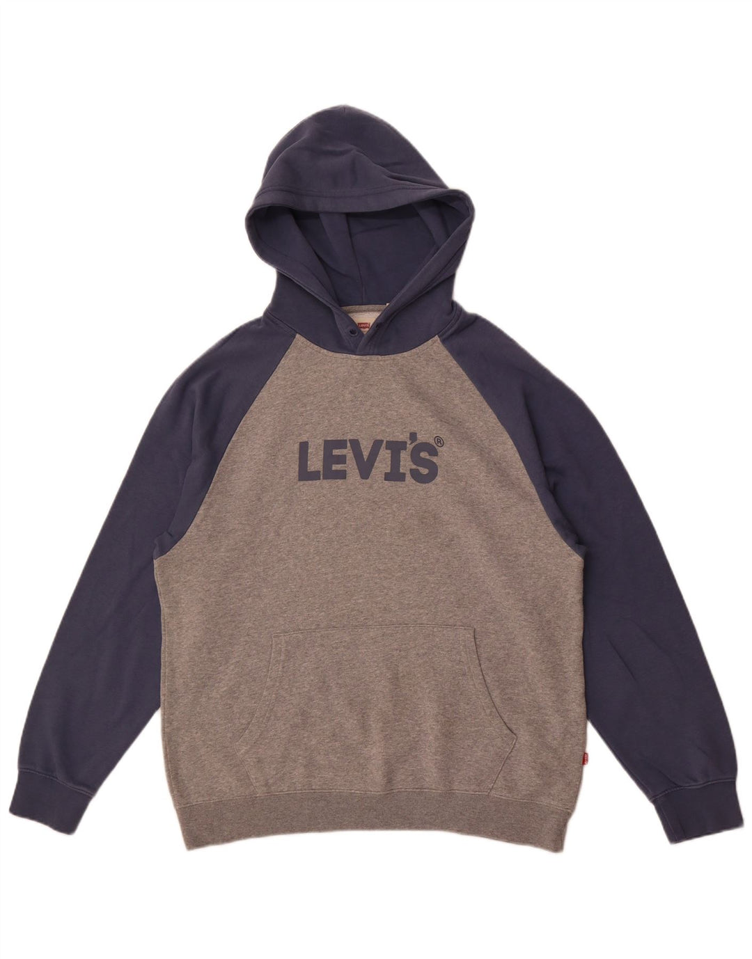 Suéter masculino Levi's Graphic Relaxed Fit com capuz cinza médio bloco colorido