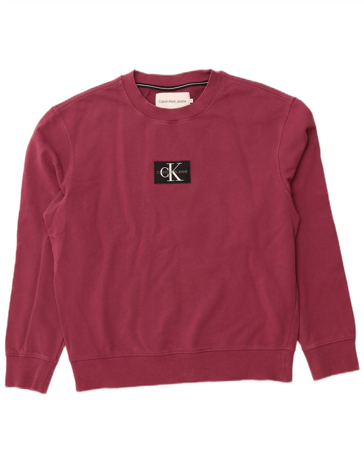 CALVIN KLEIN JEANS moletom gráfico masculino jumper médio roxo