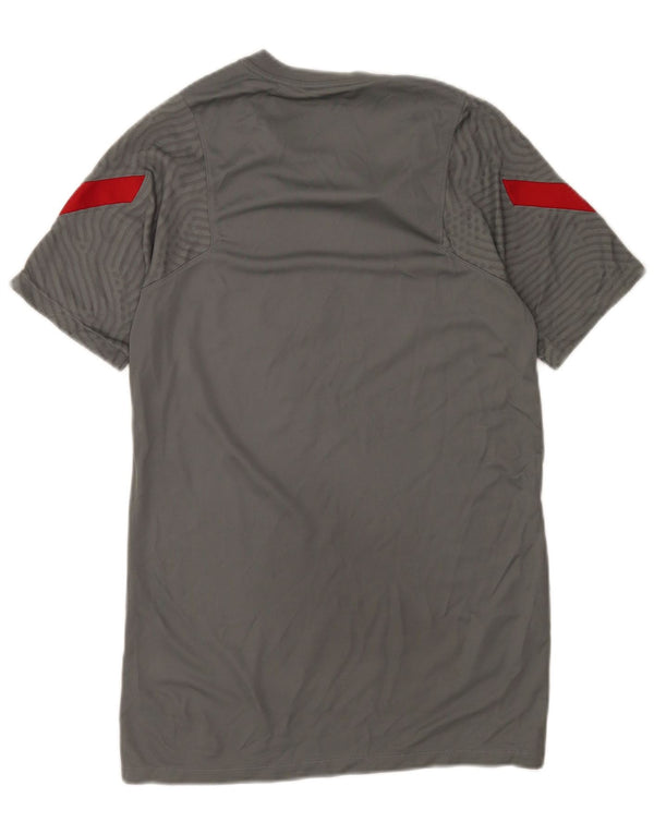 Camiseta Nike masculina Liverpool Graphic Camiseta pequena cinza colorblock poliéster