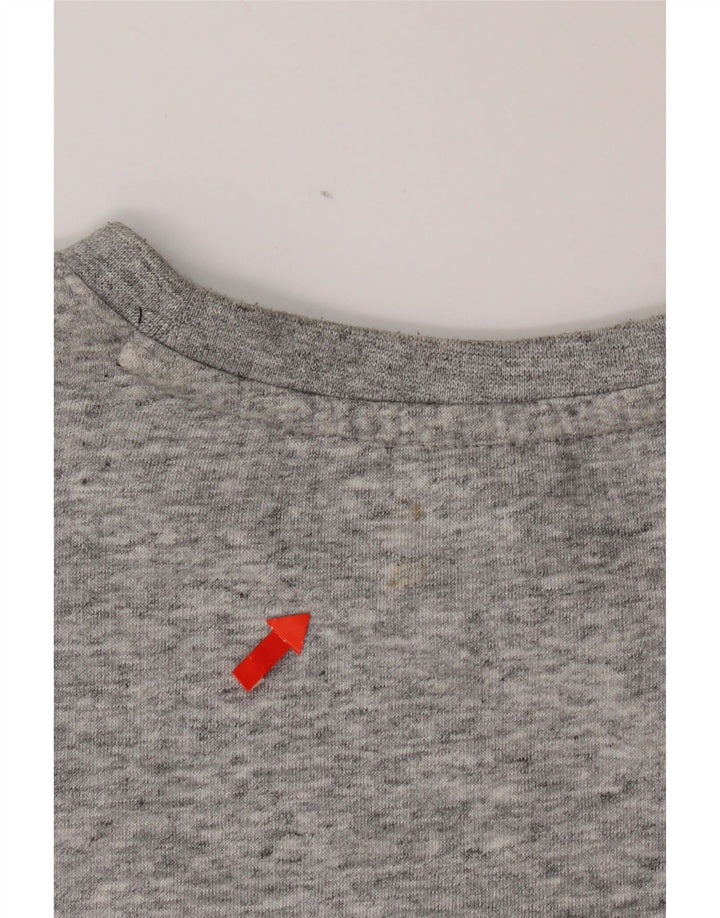 Champion moletom masculino gráfico jumper pequeno algodão manchado cinza
