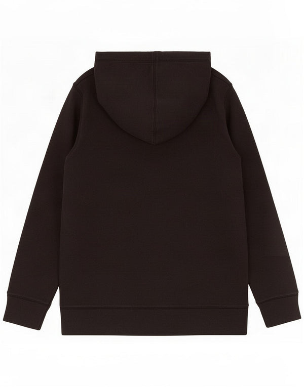 Under Armour Mens Graphic Loose Fit Hoodie Jumper Médio Preto