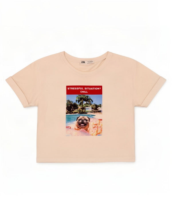 Zara Womens Crop Graphic T-Shirt Top UK 10 Pequeno Branco