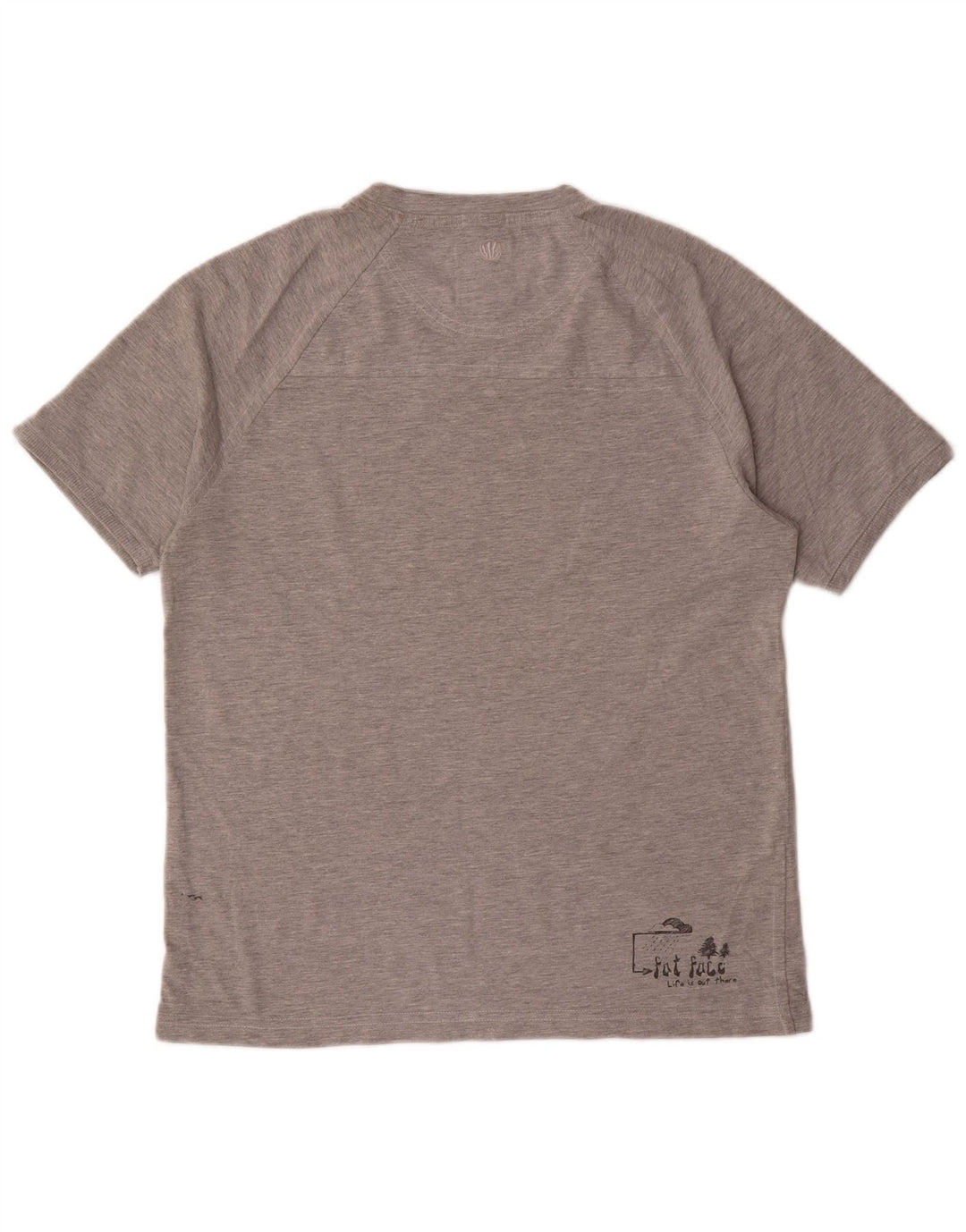 Camiseta masculina Fat Face com estampa gráfica pequena cinza