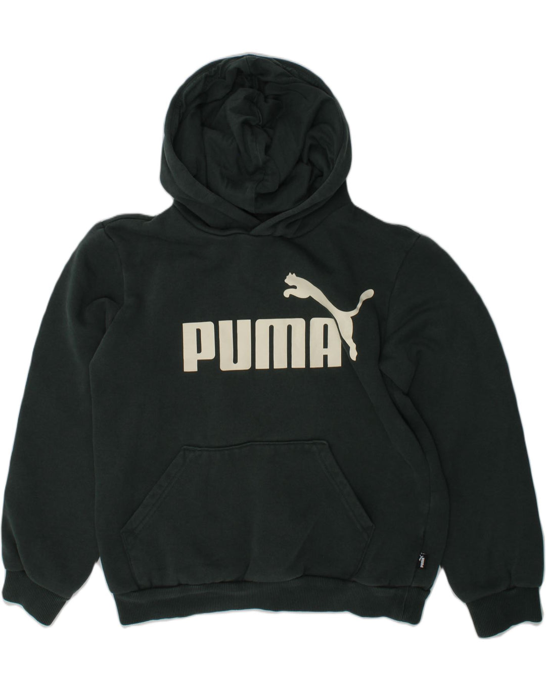 PUMA Boys Graphic Hoodie Jumper 11-12 Years Green Cotton | Vintage Puma | Thrift | Second-Hand Puma | Used Clothing | Messina Hembry 