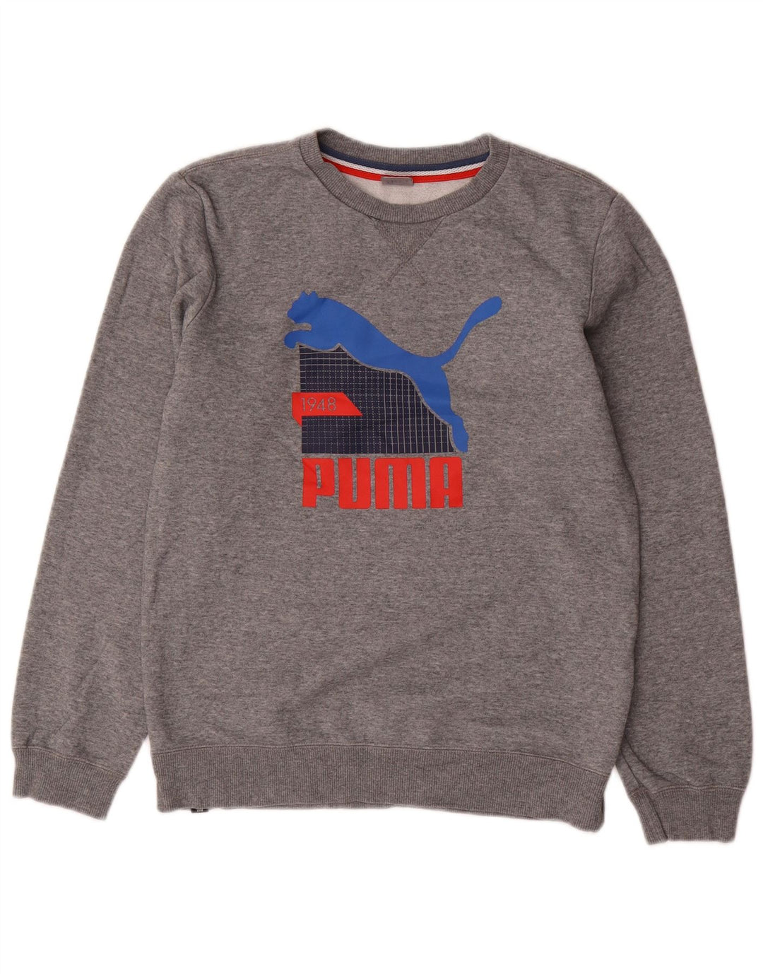 Jumper de moletom gráfico PUMA Boys 13-14 anos cinza