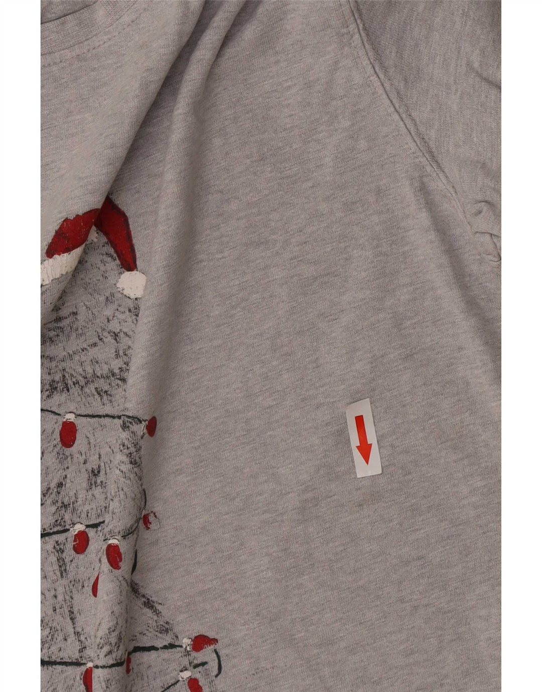 Camiseta gráfica masculina Fat Face Top pequeno algodão manchado cinza