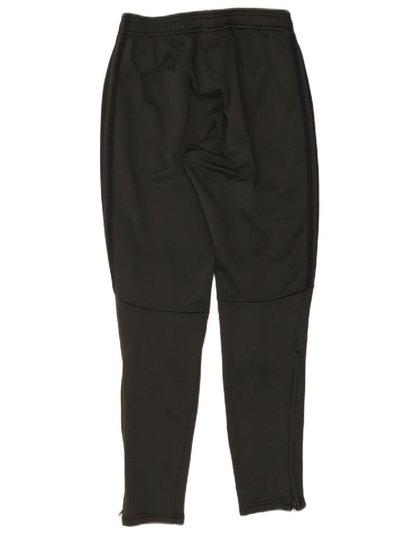 Adidas Mens Deutscher Fussball Bund Calça de treino pequena verde