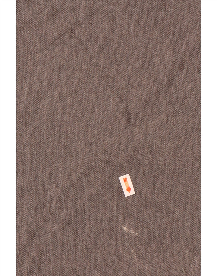 Camisa polo masculina de manga comprida Lacoste tamanho 4 algodão cinza médio