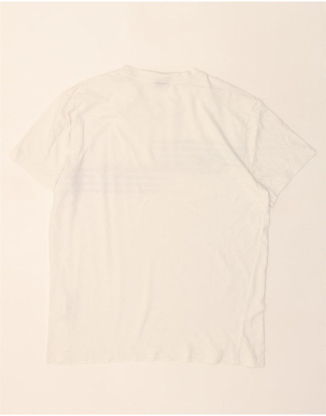 CHAMPION Mens Graphic T-Shirt Top Medium White Cotton Vintage Champion and Second-Hand Champion from Messina Hembry 