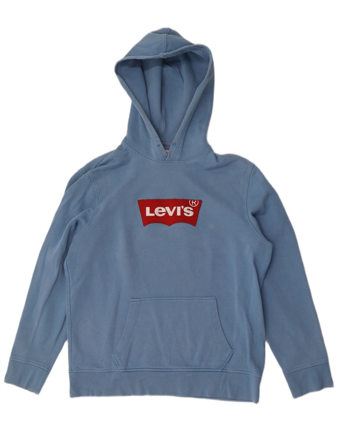 Suéter com capuz gráfico masculino Levi's grande algodão azul