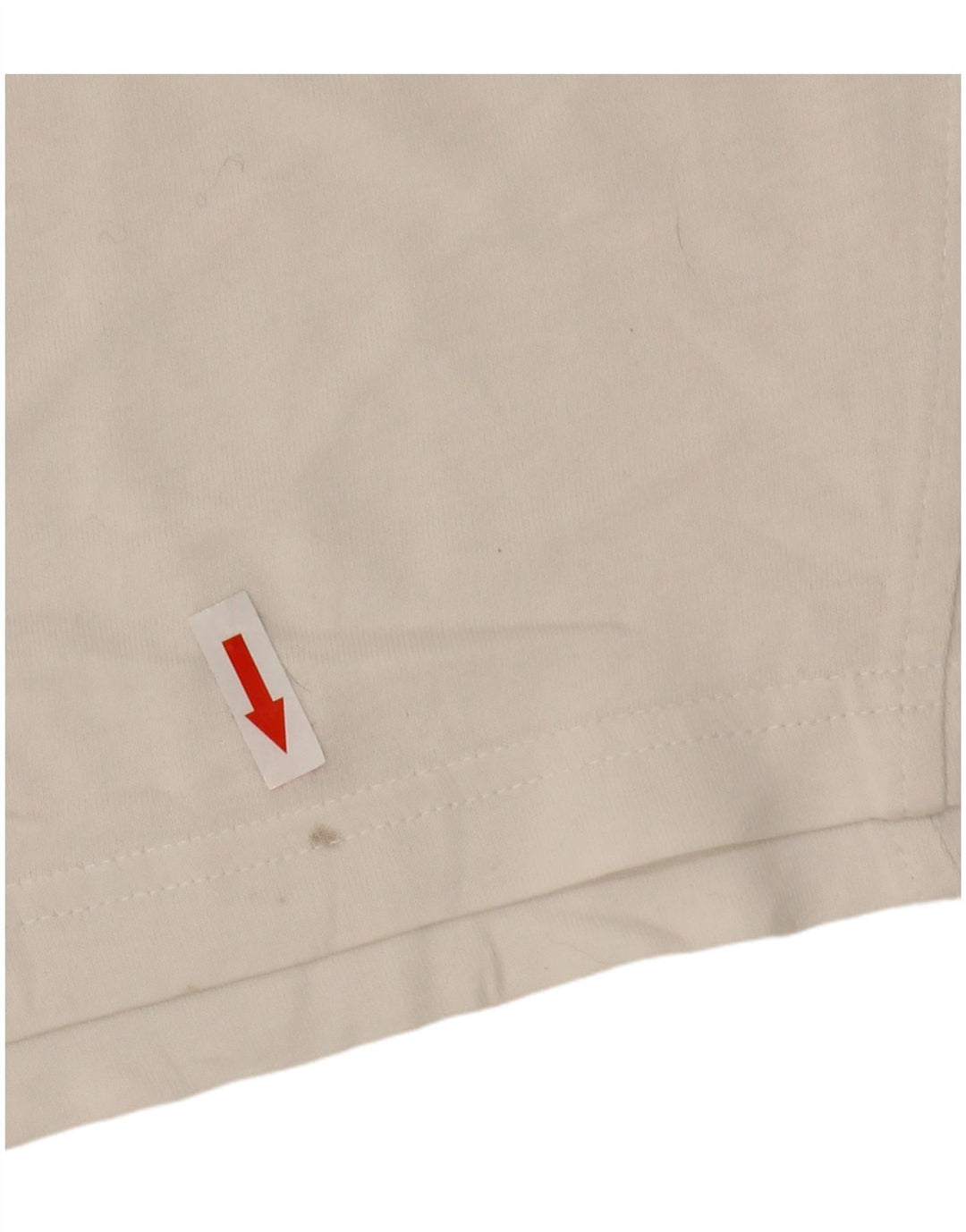 Camiseta masculina com estampa gráfica Champion, algodão colorblock branco médio