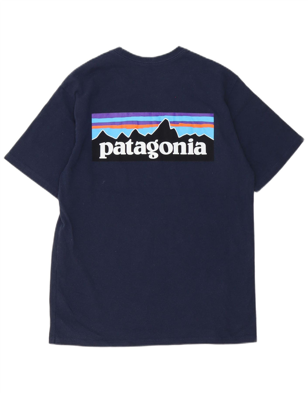 Camiseta masculina Patagonia Regular Fit com estampa gráfica pequena azul marinho poliéster