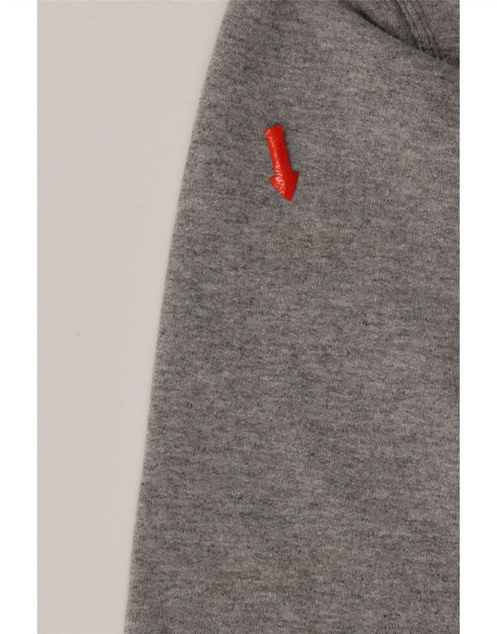 Champion moletom masculino gráfico jumper pequeno algodão cinza