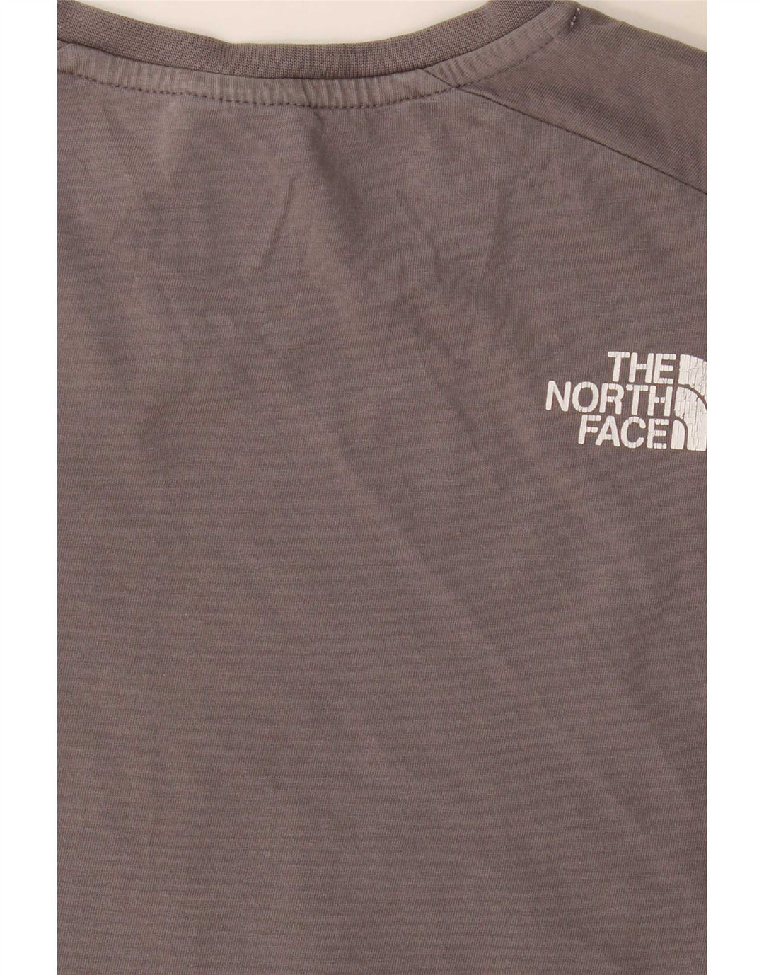 Camiseta masculina The North Face Regular Graphic Top pequeno bloco colorido cinza