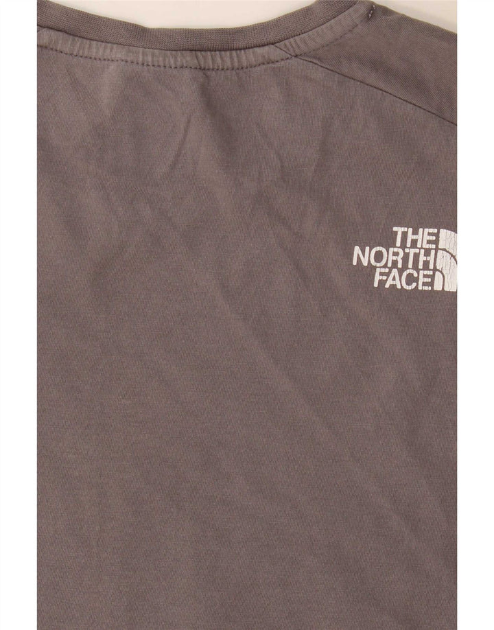 Camiseta masculina The North Face Regular Graphic Top pequeno bloco colorido cinza