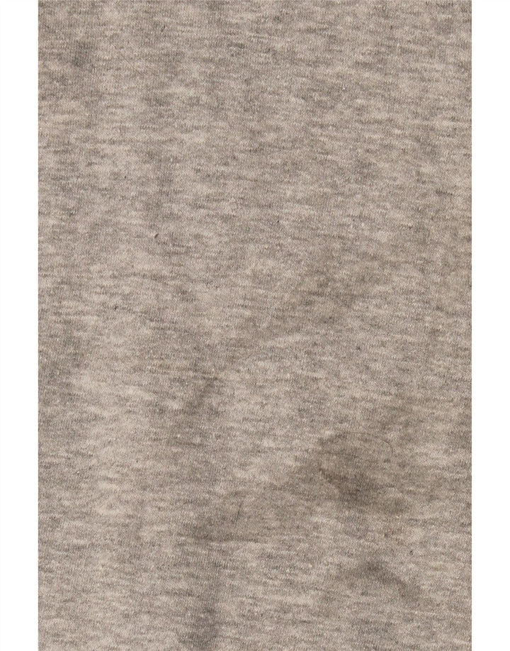 Champion moletom masculino jumper médio cinza algodão