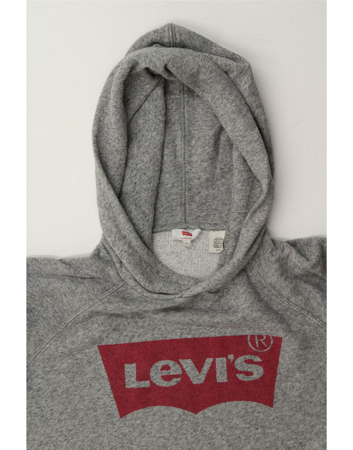 LEVI'S Mens Loose Fit Graphic Hoodie Jumper Small Grey Flecked Cotton Vintage Levi's and Second-Hand Levi's from Messina Hembry 