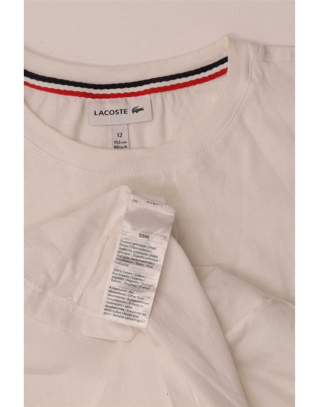 Camiseta Lacoste Menino 11-12 Anos Algodão Branco